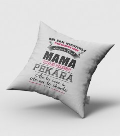 Ani som nesnívala