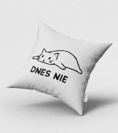 Dnes nie - ležiaca mačka