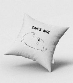 Dnes nie - Prasiatko